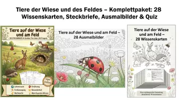 Vorschau - Mal- und Bastelvorlagen - Tiere der Wiese und des Feldes – Komplettpaket: 28 Wissenskarten, Steckbriefe, Ausmalbilder & Quiz - Deckblatt