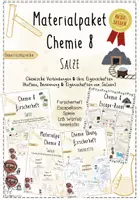 Vorschau - Stundenentwürfe - Salze | Chemie 8 | komplette Unterrichtsreihe | 16 sofort einsetzbare Unterrichtsstunden - Deckblatt