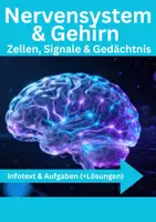 Vorschau - Arbeitsblätter - Nervensystem & Gehirn 🧠 Zellen, Signale & Gedächtnis - Deckblatt