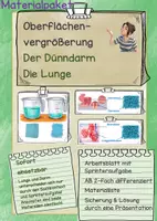 Vorschau - Arbeitsblätter - Materialpaket Oberflächenvergrößerung Lunge und Dünndarm - Deckblatt