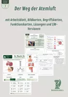 Vorschau - Unterrichtsreihen - Der Weg der Atemluft – mit Arbeitsblatt, Bildkarten, Begriffskarten, Funktionskarten, Lösungen und S/W-Versionen - Deckblatt