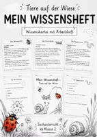 Vorschau - Arbeitsblätter - Materialpaket Tiere der Wiese mit Arbeitsheft und Wissenskartei - Deckblatt