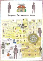 Vorschau - Arbeitsblätter - Körper & Organe: XXL Sparpaket (Spiele, Rätsel & Werkstatt) - Sachunterricht - Kl. 3/4 - Deckblatt
