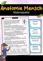 Vorschau - Arbeitsblätter - Anatomie Mensch – Materialpaket | Wissenskartei, Lückentext & Quizkarten - Deckblatt