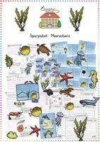Vorschau - Spiele - Meerestiere & Ozean: XXL Sparpaket (Werkstatt, Spiele & Sport) - Sachunterricht / Deutsch - Kl. 2-4 - Deckblatt