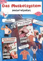 Vorschau - Stationenlernen - Das Muskelsystem: Muskelaufbau, Muskelarten, Muskelgruppen, - Deckblatt