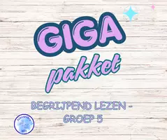 Voorbeeld - GIGA PAKKET - Begrijpend Lezen (groep 5) (20% KORTING) - Voorblad