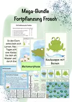 Vorschau - Spiele - Mega-Bundle Fortpflanzung Frosch, Froscharten, Spiel, Arbeitsblätter, Lesekartei, Legekarten, Puzzle usw. - Deckblatt