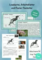 Vorschau - Arbeitsblätter - Materialpaket Fischotter, Tier des Jahres 2021, Otter, Lesekartei, Arbeitsblätter, Poster - Deckblatt
