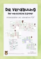 Vorschau - Arbeitsblätter - Der menschliche Körper - Arbeitsblätter inkl. interaktive PDF - Deckblatt