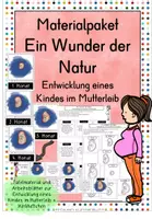 Vorschau - Arbeitsblätter - Materialpaket Ein Wunder der Natur Entwicklung eines Kindes im Mutterleib - Deckblatt