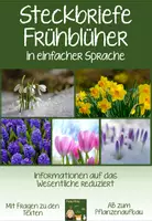 Vorschau - Arbeitsblätter - Sparpaket Steckbriefe Frühblüher - einfache Sprache - Deckblatt