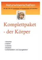 Vorschau - Arbeitsblätter - Komplettpaket x2: Skelett, Knochen, Gelenke, Muskeln - Deckblatt