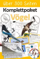 Vorschau - Arbeitsblätter - Komplettpaket Vögel für die 1. 2. und 3. Klasse - Deckblatt
