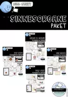 Vorschau - Stundenentwürfe - Die Sinnesorgane - MEGA PAKET - Deckblatt