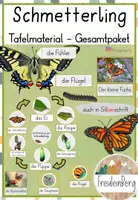 Vorschau - Poster - Tafelmaterial Schmetterling (Gesamtpaket) - Deckblatt