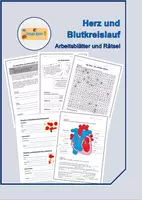 Vorschau - Arbeitsblätter - Herz und Blutkreislauf - Deckblatt