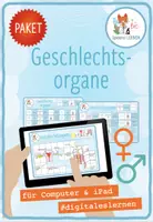 Vorschau - Spiele - Geschlechtsorgane – 3 digitale Spiele und Aktivitäten - Deckblatt