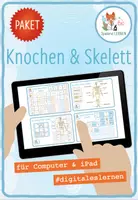 Vorschau - Arbeitsblätter - Knochen und Skelett – 4x digitale Spiele und Aktivitäten für Computer & iPad - Deckblatt