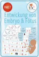 Vorschau - Spiele - Entwicklung von Embryo und Fötus – 3x Aktivitäten und Spiele - Deckblatt