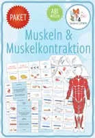 Vorschau - Arbeitsblätter - Muskeln & Muskelkontraktion - 9x Spiele und Aktivitäten (Abitur) - Deckblatt