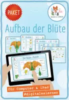 Vorschau - Arbeitsblätter - Struktur und Aufbau der Blüte – 5x digitale Spiele und Aktivitäten - Deckblatt