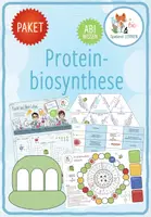 Vorschau - Arbeitsblätter - Proteinbiosynthese – 9x Aktivitäten und Spiele - Deckblatt