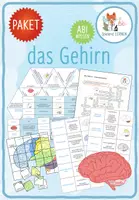 Vorschau - Arbeitsblätter - Das Gehirn – 5x Spiele und Aktivitäten - Deckblatt