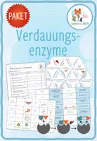 Vorschau - Spiele - Verdauungsenzyme – 4x Spiele und Aktivitäten - Deckblatt