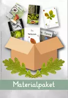 Vorschau - Arbeitsblätter - SPARPAKET - Heimische Bäume ab Kl. 1 (Sachunterricht) - Deckblatt