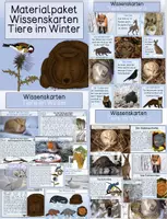Vorschau - Stationenlernen - Tiere im Winter - Wissenskarten - Materialpaket - Deckblatt