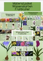 Vorschau - Stationenlernen - Materialpaket - Wissenskarten Frühblüher - Deckblatt