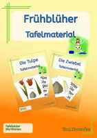 Vorschau - Poster - Materialpaket - Frühblüher - Aufbau von Tulpe und Zwiebel - Deckblatt