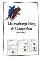 Vorschau - Stundenentwürfe - Materialpaket - Herz & Blutkreislauf (wachsend) Biologie Experimente Versuche - Deckblatt