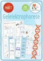 Vorschau - Arbeitsblätter - Gelelektrophorese – 3x Spiele und Aktivitäten (Abitur) - Deckblatt