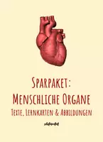 Vorschau - Stundenentwürfe - Sparpaket: Der menschliche Körper und seine Organe - Lernkarten, Arbeitsblätter & Stundenentwürfe - Deckblatt