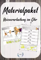 Vorschau - Arbeitsblätter - Materialpaket: Reizverarbeitung im Ohr - Deckblatt