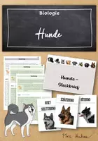 Vorschau - Arbeitsblätter - Materialpaket: Hundeberufe - Deckblatt