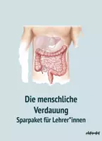 Vorschau - Stundenentwürfe - Biologie: Verdauung mit allen Verdauungsorganen und Hormonen (Sparpaket) - Deckblatt