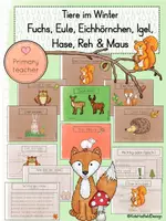 Vorschau - Stundenentwürfe - Tiere des Waldes: Eichhörnchen, Eule, Fuchs, Reh, Hase, Igel & Maus - Deckblatt