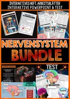 Vorschau - Unterrichtsreihen - Das Nervensystem BUNDLE | Der Mensch - digital + analog - Distanzunterricht + Homeschooling | Sofort einsetzbar - Deckblatt