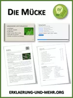 Vorschau - Arbeitsblätter - Die Mücke (Materialpaket) - Deckblatt