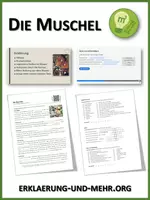 Vorschau - Arbeitsblätter - Die Muschel (Materialpaket) - Deckblatt
