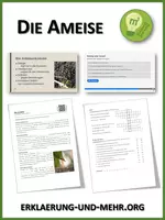 Vorschau - Arbeitsblätter - Die Ameise (Materialpaket) - Deckblatt