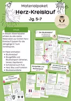 Vorschau - Unterrichtsreihen - Materialpaket: Unterrichtsreihe Herz-Kreislauf-System Jg. 5/6 Gymnasium Gesamtschule Bio NaWi - Deckblatt