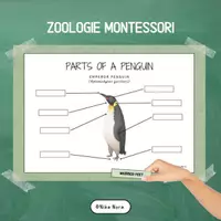 Vista previa - Hojas de trabajo - Paquete de material: Posters - Zoología Montessori Inglés. - Portada