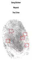Vorschau - Stundenentwürfe - Materialpaket: „Woyzeck“ (Georg Büchner) - Deckblatt