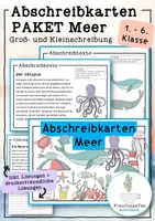 Vorschau - Arbeitsblätter - Großes Paket Abschreibkarten Meer und Strandtage für Klasse 1-6 FrauCuppaTea - Deckblatt