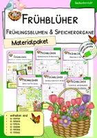 Vorschau - Spiele - Frühblüher - Frühlingsblumen und Speicherorgane - Materialpaket - Deckblatt