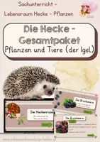 Vorschau - Unterrichtsreihen - Die Hecke Gesamtpaket - Deckblatt